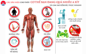 Bạn có biết: 80% bệnh tật bắt nguồn từ dư thừa axit? Hãy để Osawa giúp bạn